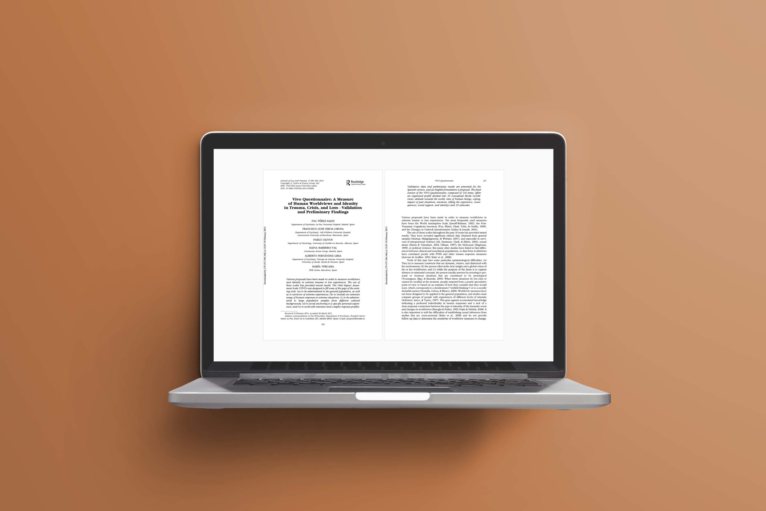 Vivo Questionnaire: A Measure of Human Worldviews and Identity in Trauma, Crisis, and Loss—Validation and Preliminary Findings